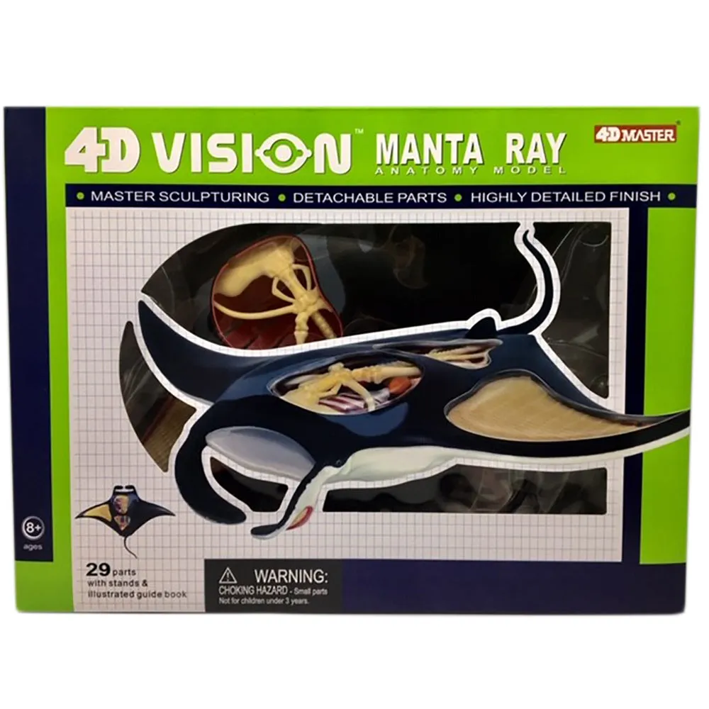 4D Vision Manta Ray Model
