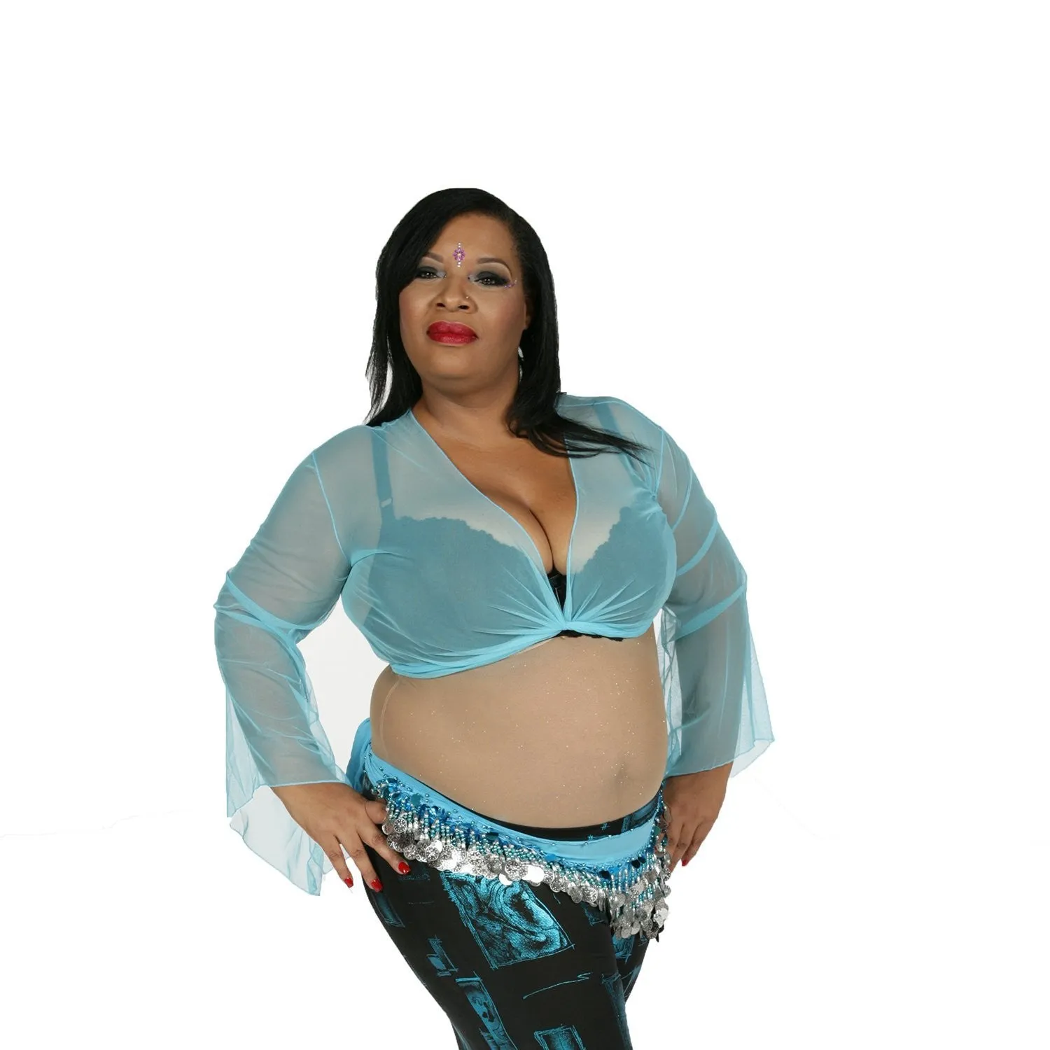 Belly Dance Sheer Chiffon Choli Top