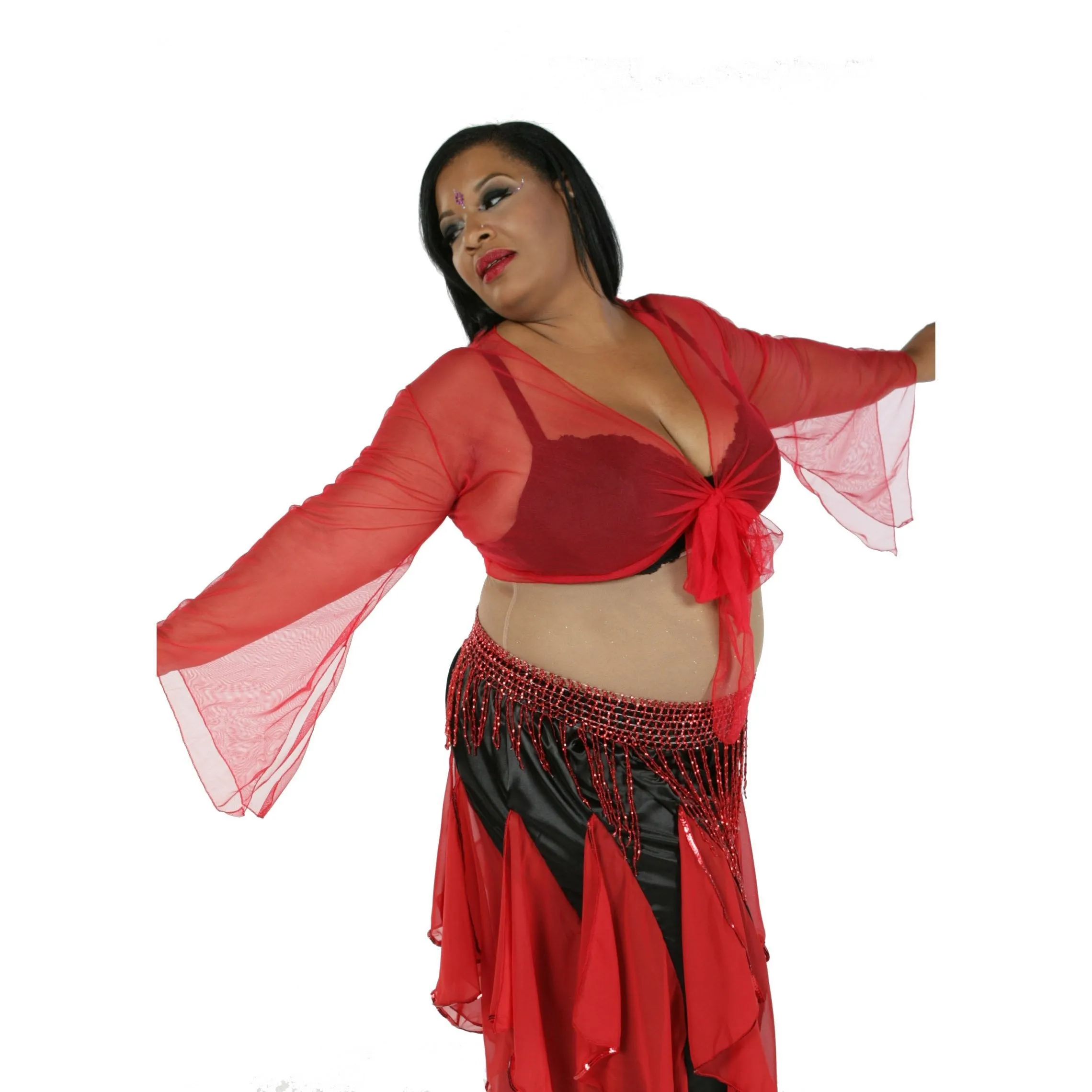 Belly Dance Sheer Chiffon Choli Top