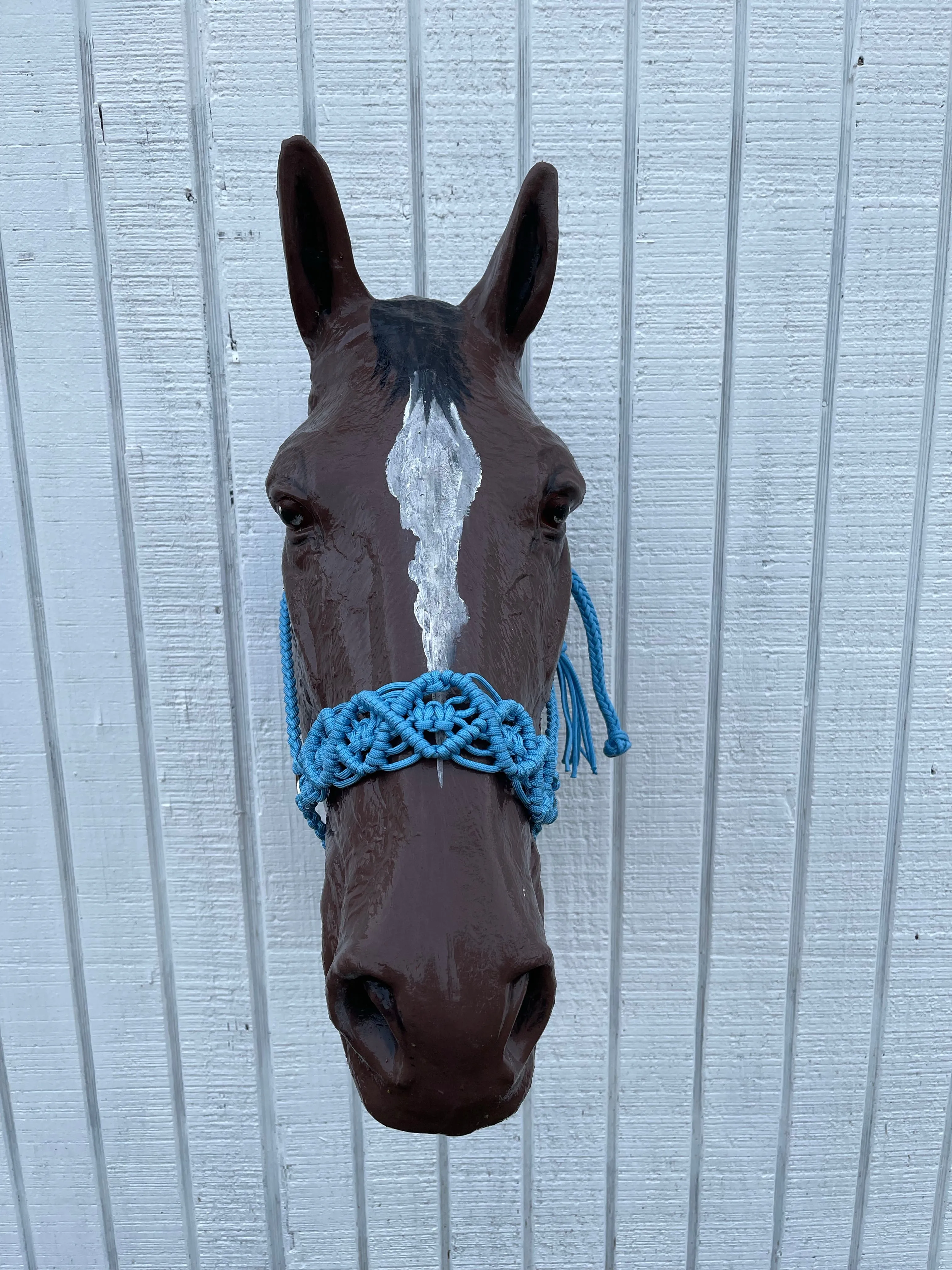 Braided horse halter.