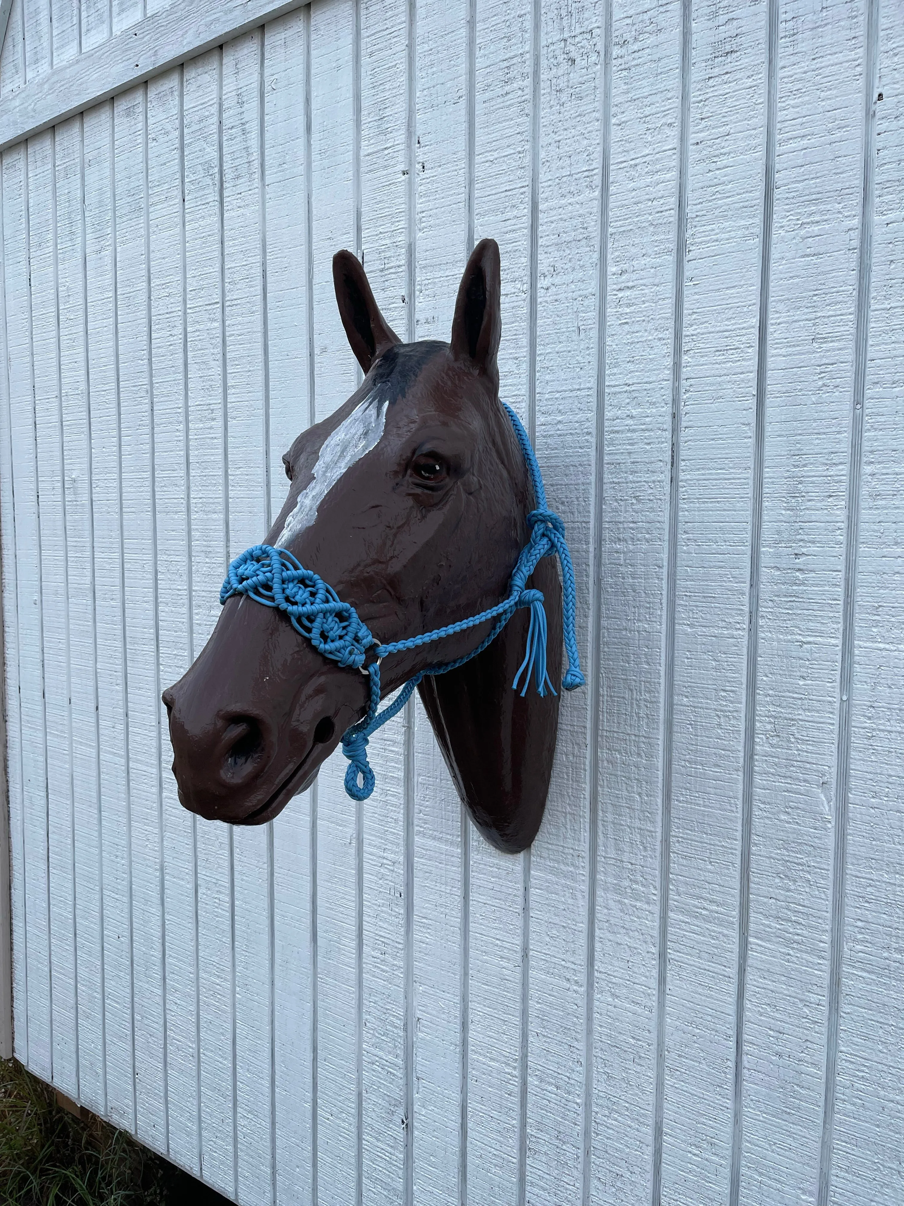 Braided horse halter.