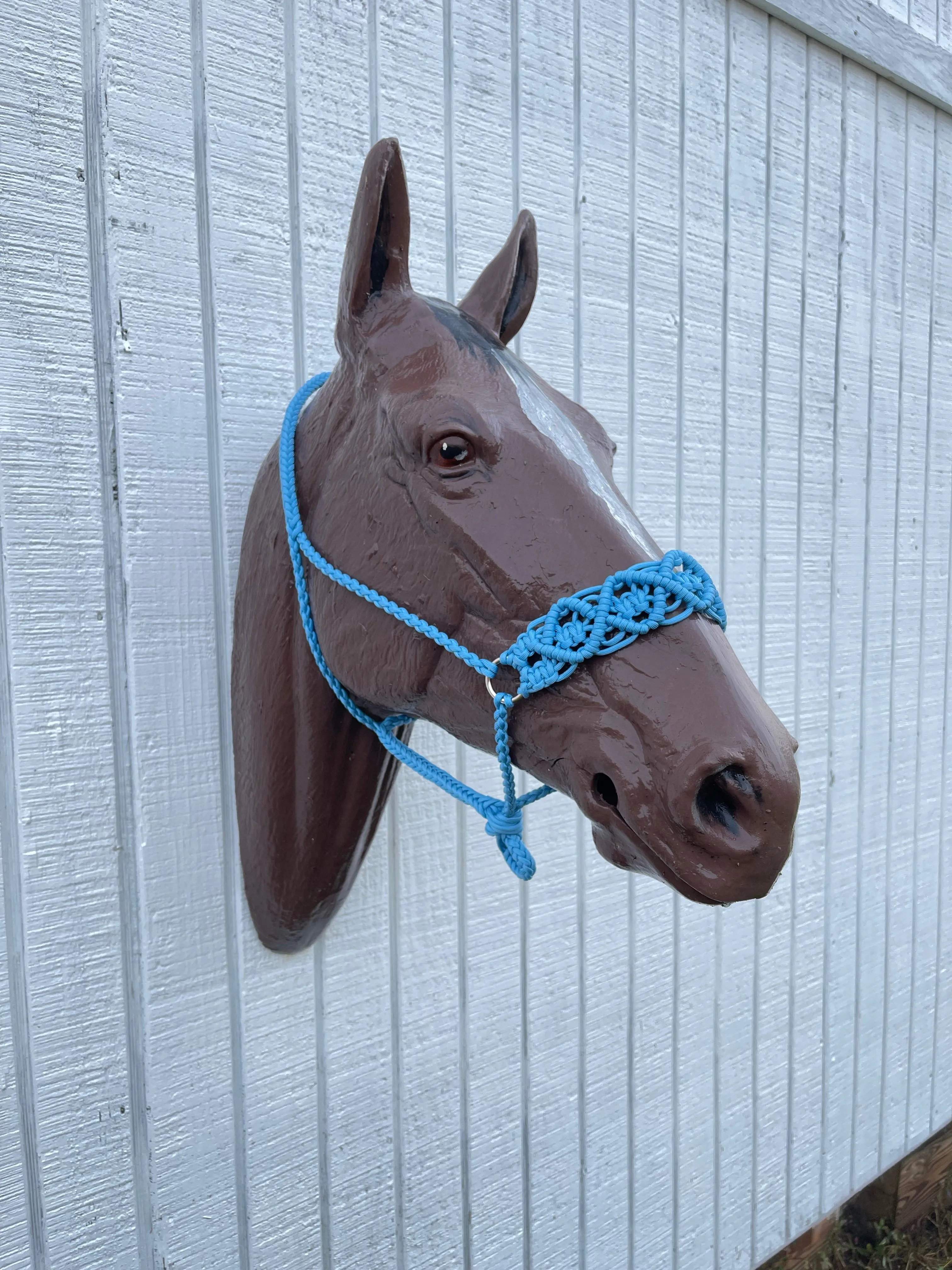 Braided horse halter.